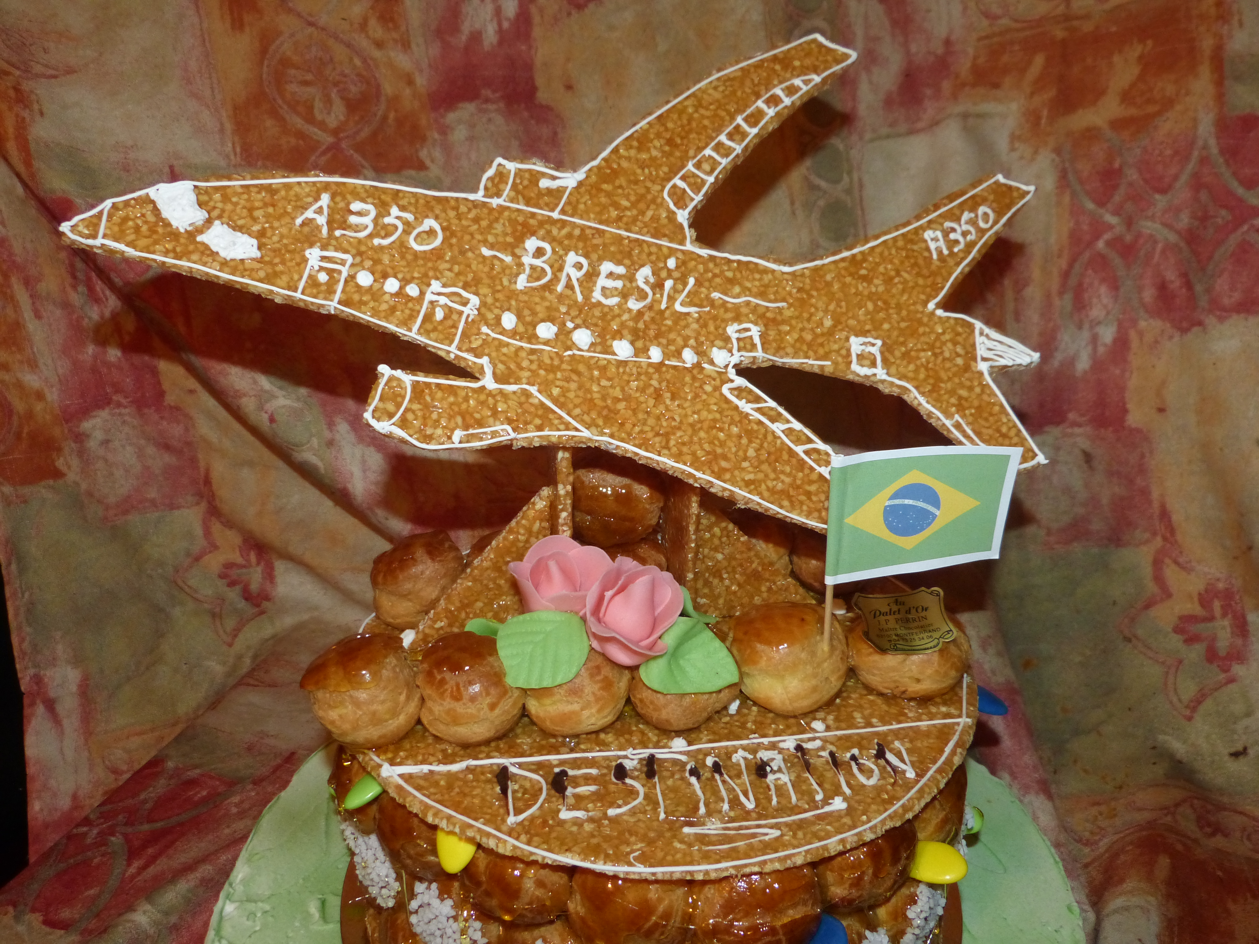 Avion De Ligne Au Palet D Or